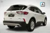 Ford Kuga 2,5 Ladattava hybridi (PHEV) 225hv CVT FWD Titanium X 5-ovinen Thumbnail 2